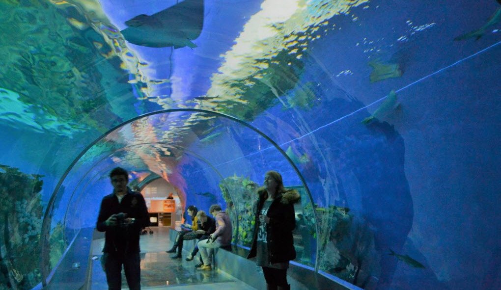 National Aquarium Denmark (Den Blå Planet), Kastrup, near Copenhagen, Denmark